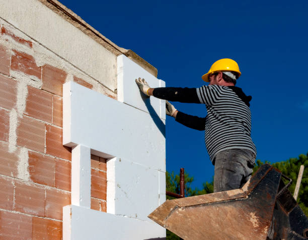 Best Types of Insulation in Mesa Del Caballo, AZ