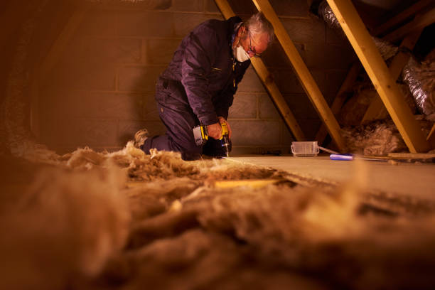 Best Insulation Maintenance and Repair in Mesa Del Caballo, AZ
